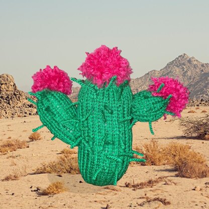 3 arm cactus