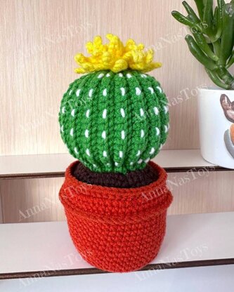 Cactus in a pot_5
