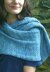 Blu Shawl