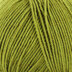 Acid Green (729341)