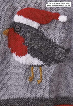 Rockin Robin Baby Sweater