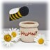 Bumblebee and Honey Jar