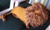 Lion Dog Sweater - Sizes XS, S, M, Miniature Dachshunds
