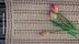 Maytime Table Runner Written Pattern