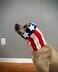 American Flag Dog Snood