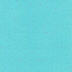 Aqua (E134-1005 AQUA)