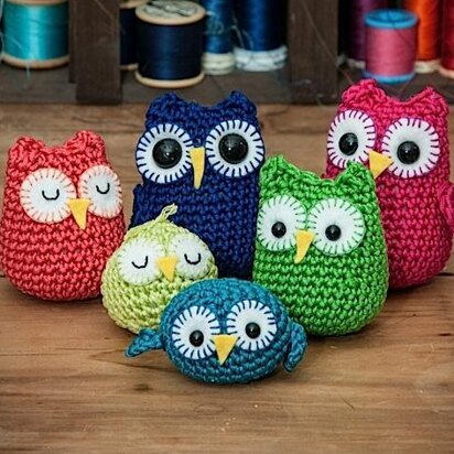 Rainbow owls