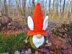 Gnome carrot