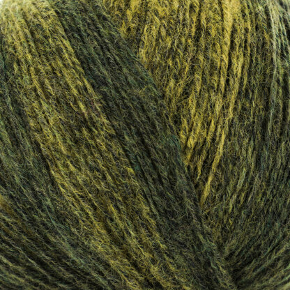 Black Saffron / Moss (215611)