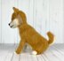 Shiba Inu Dog