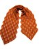 Earthward Scarf