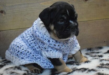 DK crochet sweaters for small dog breeds