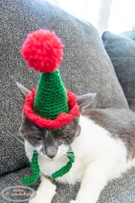 Cat's Elf Hat