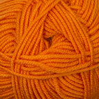 Persimmon (49)