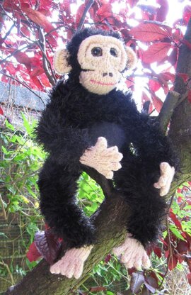 My Pet Baby Chimpanzee