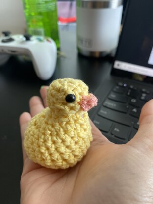 my very first - duckie