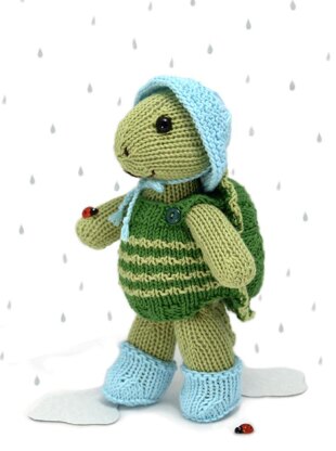 Rainy Day Turtle