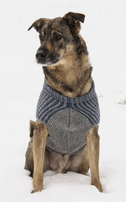 Bird Island Dog Sweater in Blue Sky Fibers Woolstok - 201610 - Downloadable PDF