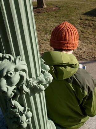 Knitted Library Window Watchcap