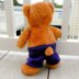 Teddy in Purple