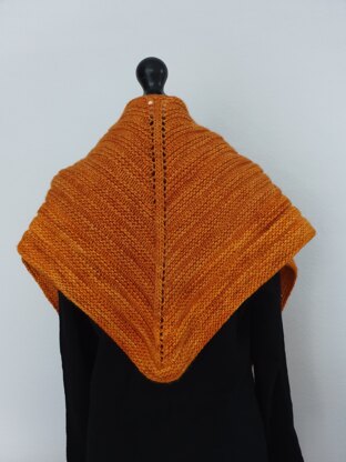 Warm honey shawl