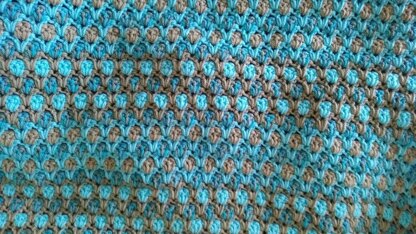 Busy Scales Blanket