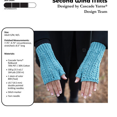 Second Wind Mitts in Cascade Yarns ReBound - A343 - Downloadable PDF
