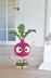 Radish