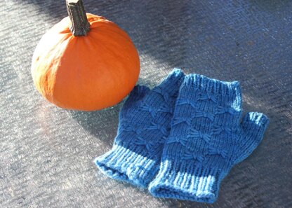 Coraline Mitts I and II