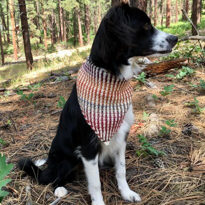 Mountain Dog Bandana