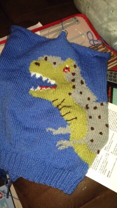 Peter Pan dinosaur jumper