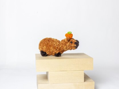 Capybara or Guinea Pig