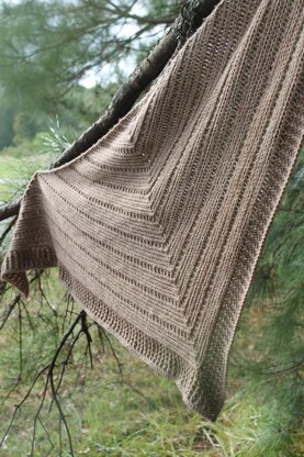 Branch Out Shawl