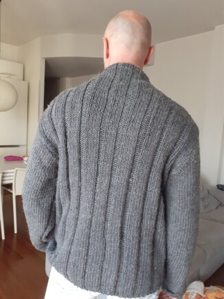 Cesare's pullover #2