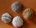 Cockle Shell