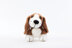 Herbie the Basset Hound in Deramores Studio DK - Downloadable PDF