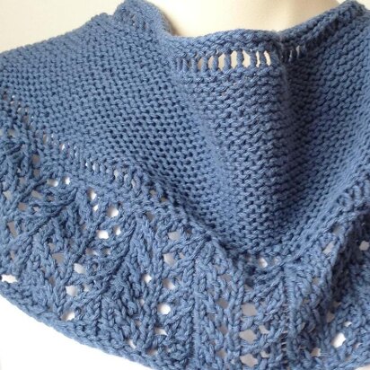 The Little Shawl