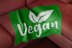 Vegan Power Throw C2C Diagonal Crochet Pattern Plant-based Graphgan