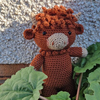 Harry Highland Cow
