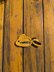 “Golden Bubbles” Fish Hair Clip