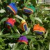 Advanced Rainbow Mary Jane Booties