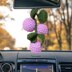Grapes Fruit Car Hanging