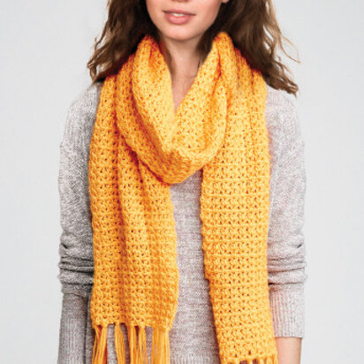 Straight Up Scarf in Caron Simply Soft Brites - Downloadable PDF