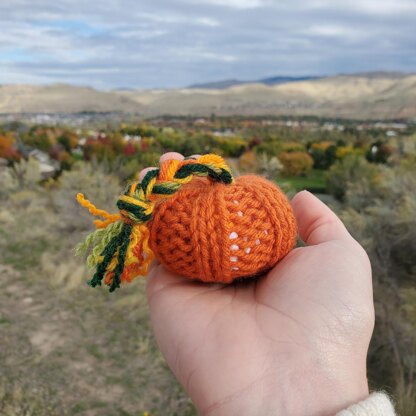 Little Knit Pumpkin Knitting Pattern