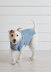 Denim Coat - Dog Jumper Knitting Pattern For Pets in Debbie Bliss Cotton Denim DK by Debbie Bliss