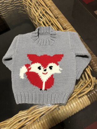 Babies Fox Jumper