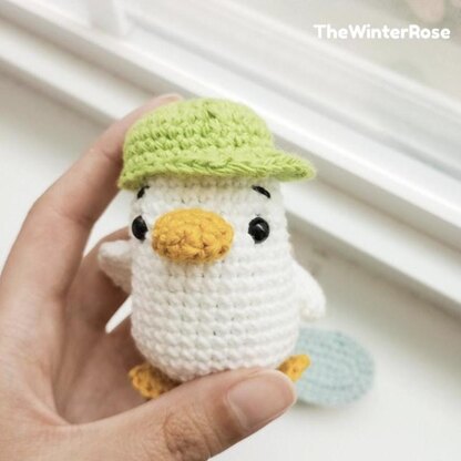 Ducky The Skateboarder