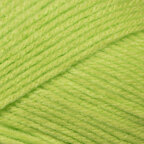 Lime (19)