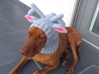 Reindeer Dog Hat with a Tassel