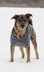 Bird Island Dog Sweater in Blue Sky Fibers Woolstok - 201610 - Downloadable PDF